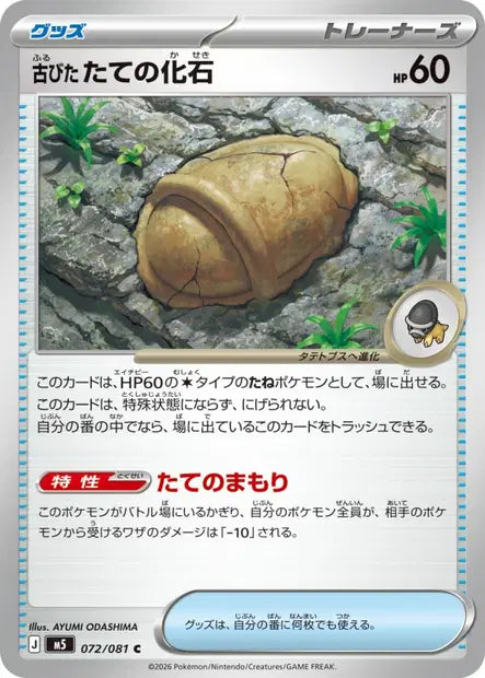 Antique Armor Fossil