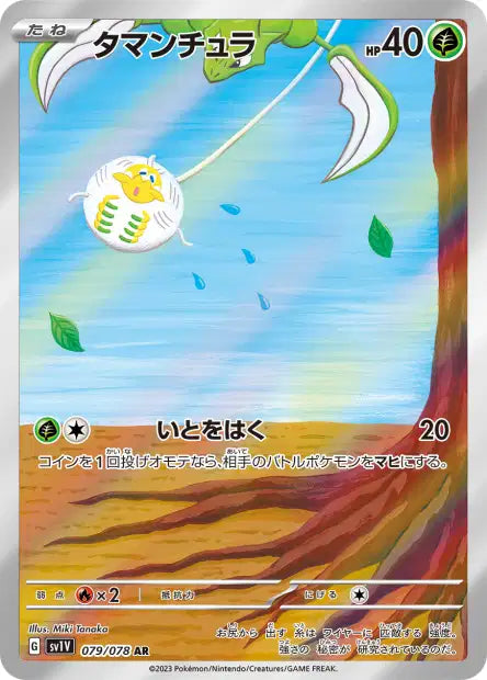 Tissenboule AR SV1V 79