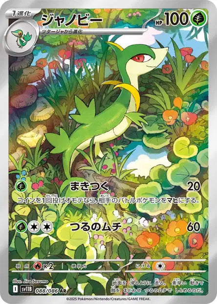 Lianaja AR sv11b 088