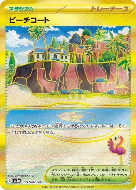 Terrain de Plage SV3A 91